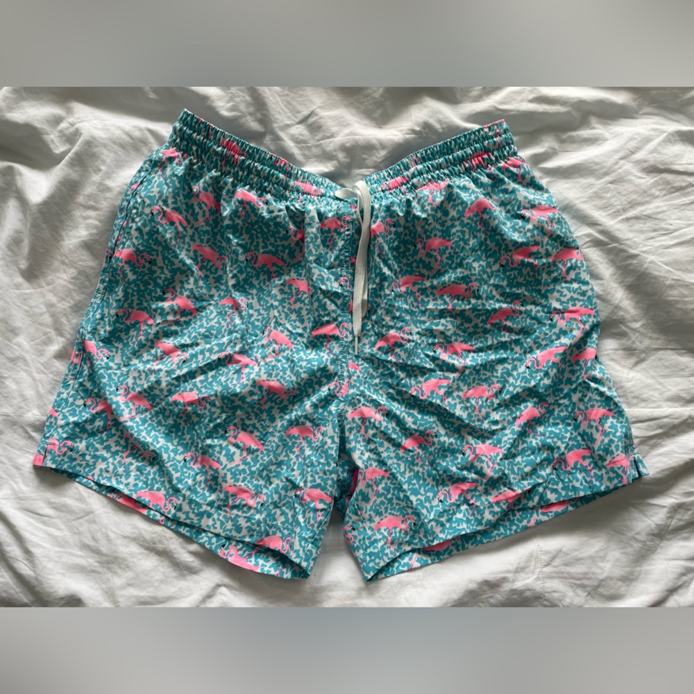 Men’s Chubbies 5.5” swim shorts